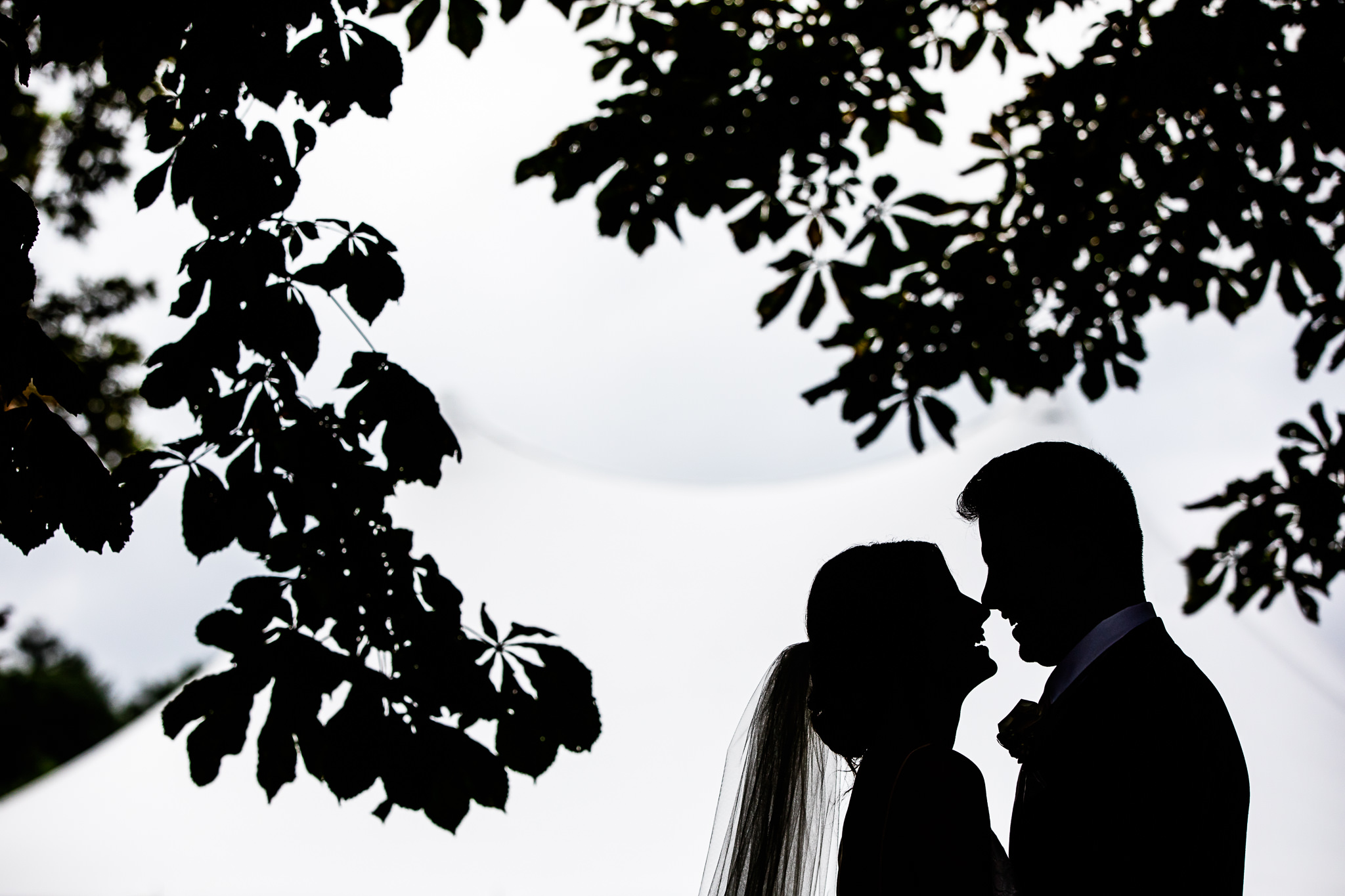 Silhouette in front of tent at Crossed Keys Estate