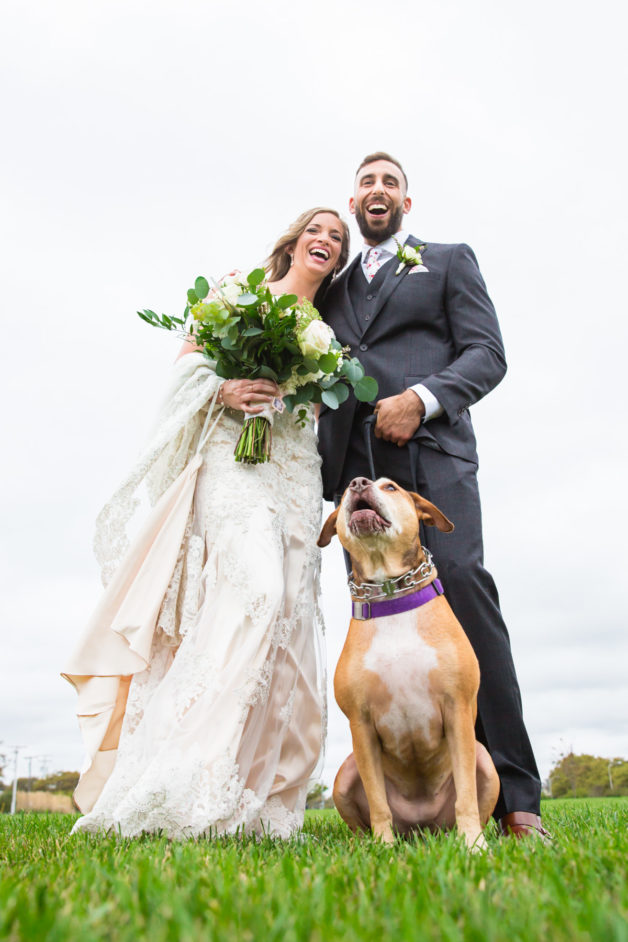 bride and groom and pitbull