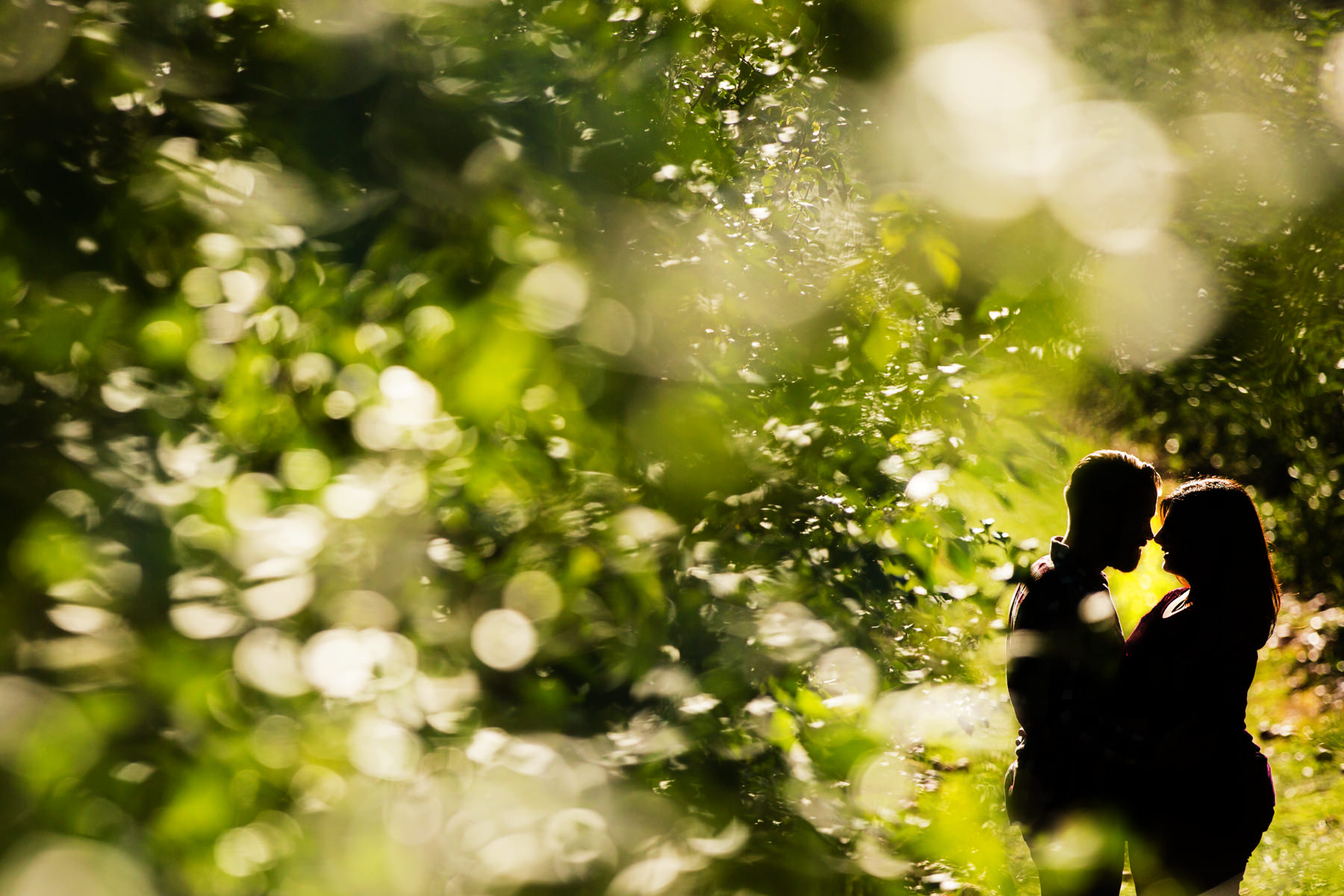 alstede-farms-engagement-photos-danette-pascarella-new-jersey-photographer-1