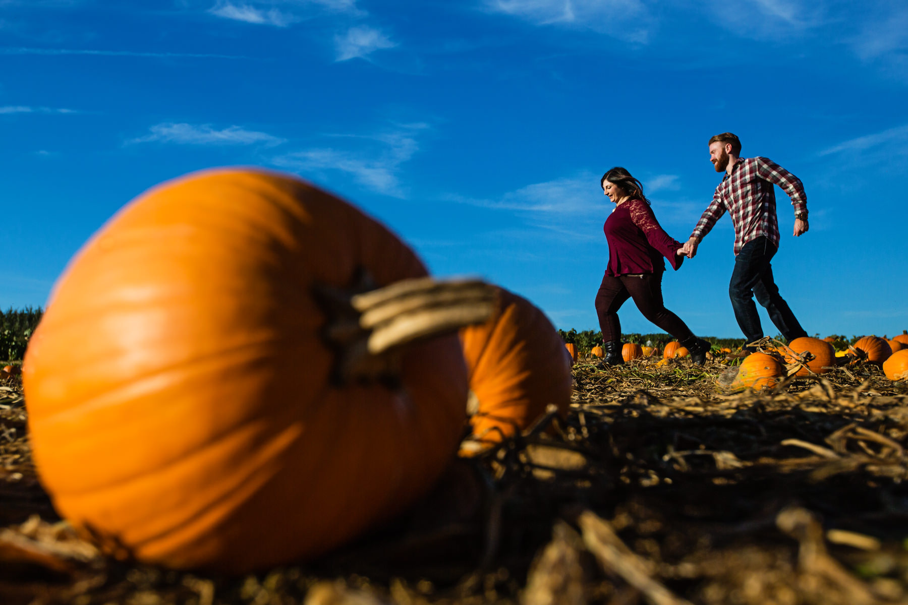 alstede-farms-engagement-photos-danette-pascarella-new-jersey-photographer-2