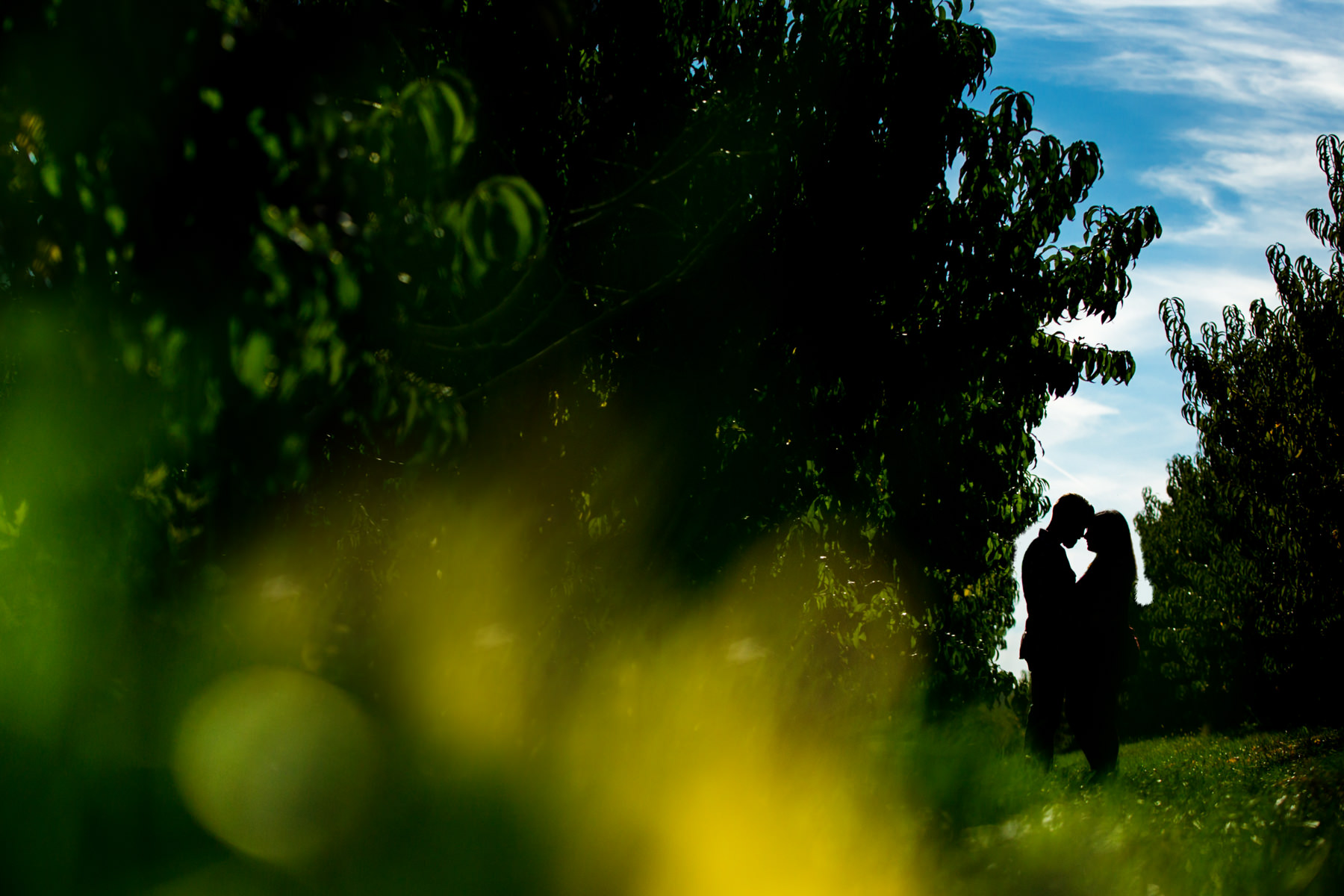 alstede-farms-engagement-photos-danette-pascarella-new-jersey-photographer-7